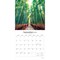 Pathways | 2026 12 x 24 Inch (Hanging) Monthly Square Wall Calendar | Plastic-Free